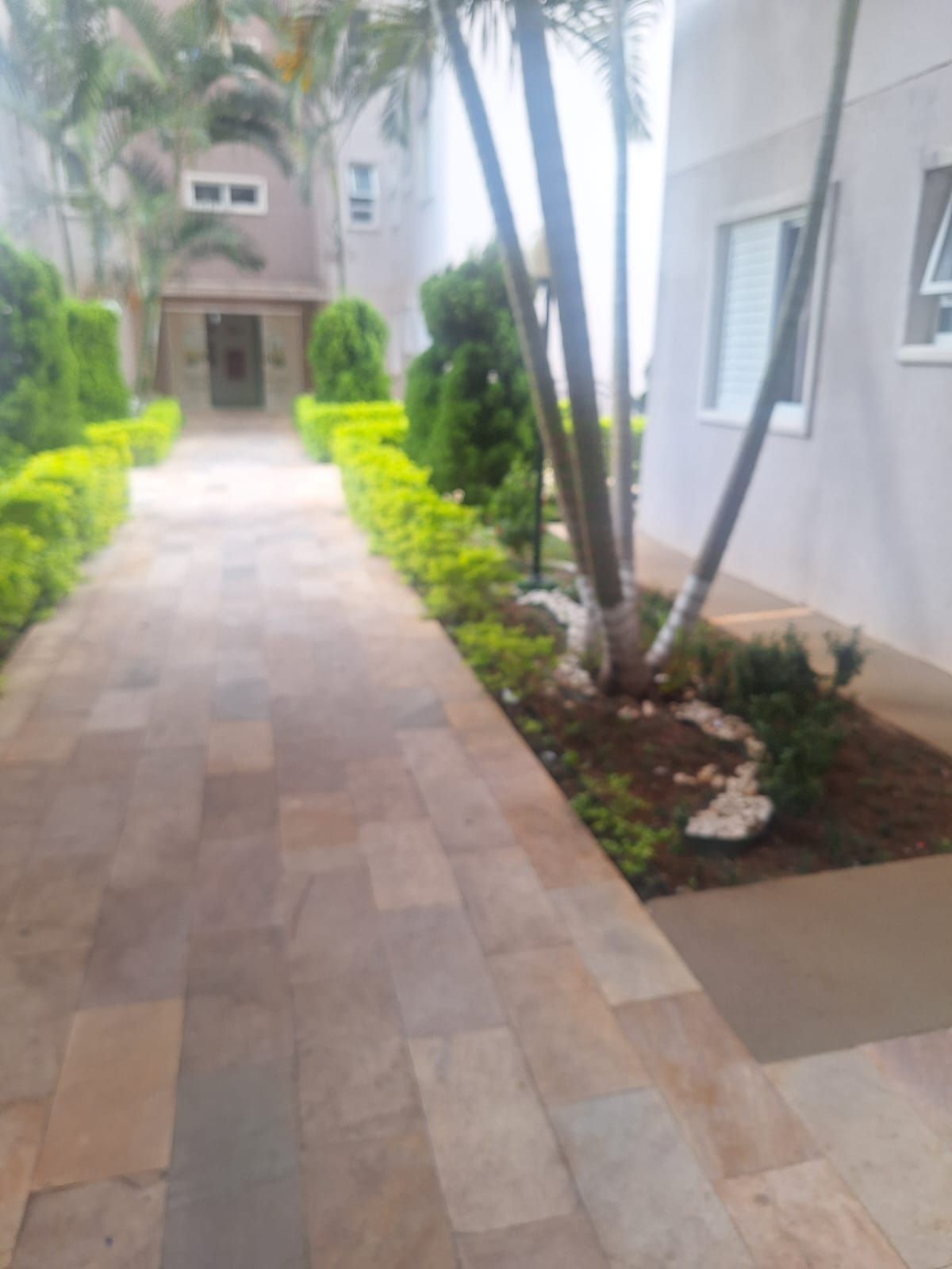 Apartamento:  Morada dos Pinheiros