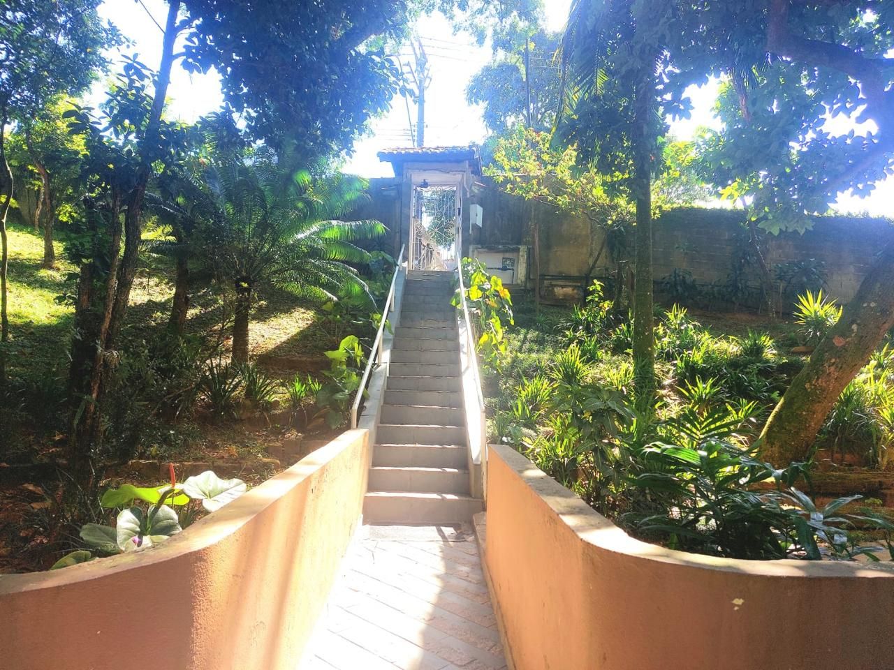 Apartamento : Bairro Demarchi