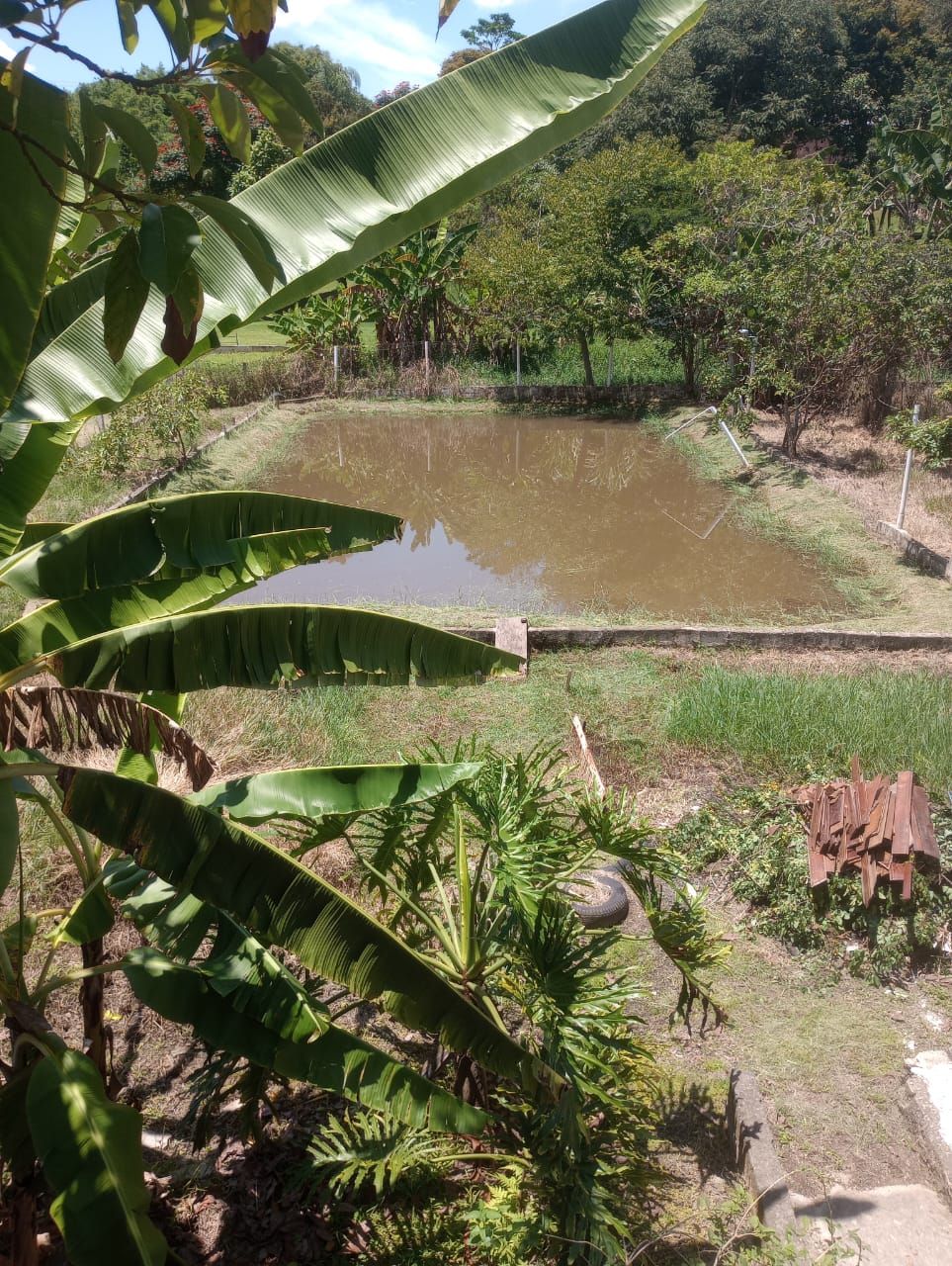 Chácara – Maracanã